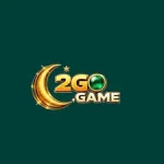 2GO Game icon