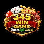 345 Win Game icon