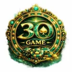3O Game icon