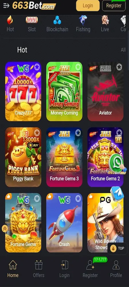 663 Game interface