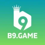 B9 Game icon