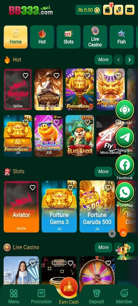 BB333 game interface