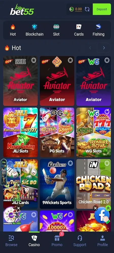 Bet55 Game interface
