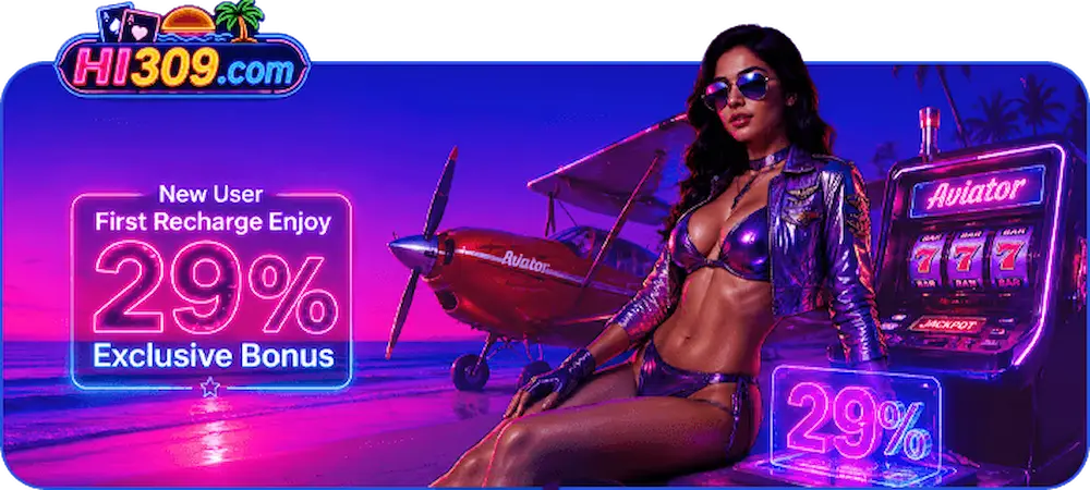 HI 309 Game interface