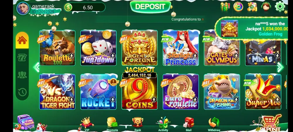 PAK 234 Game interface