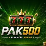 PAK 500 Game icon