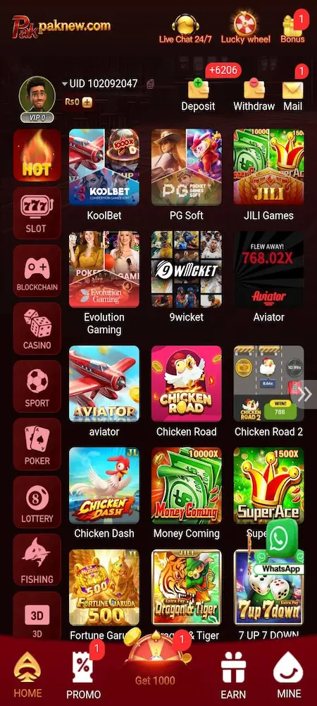 PAKNEW Game interface