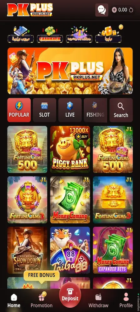 PKPLUS Game interface