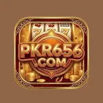 PKR 656 Game icon