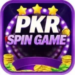 PKRSPIN logo