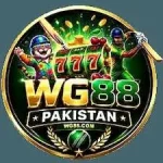 WG88 Game icon